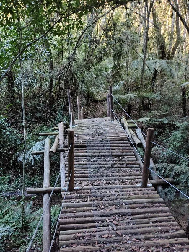 RPPN Fazenda Paiquerê
